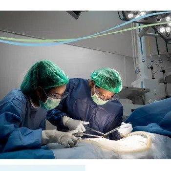 gynaecologist  oncology